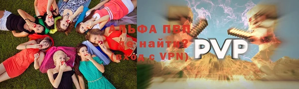 PSILOCYBIN Балабаново