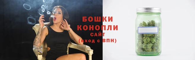 PSILOCYBIN Балабаново