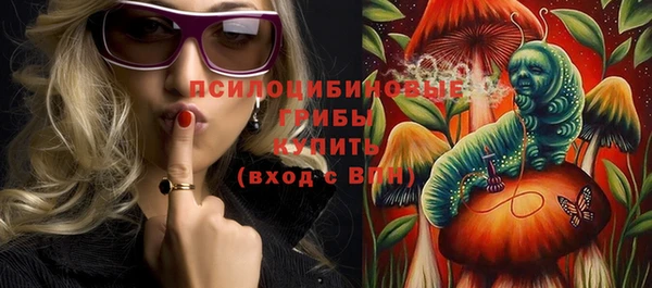 PSILOCYBIN Балабаново