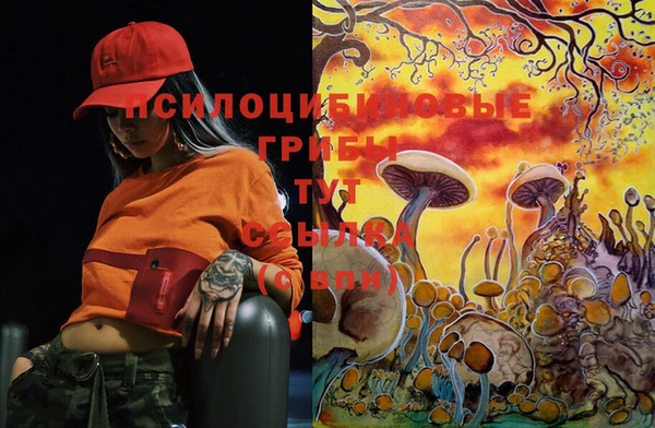 PSILOCYBIN Балабаново