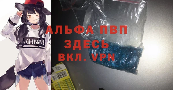 PSILOCYBIN Балабаново